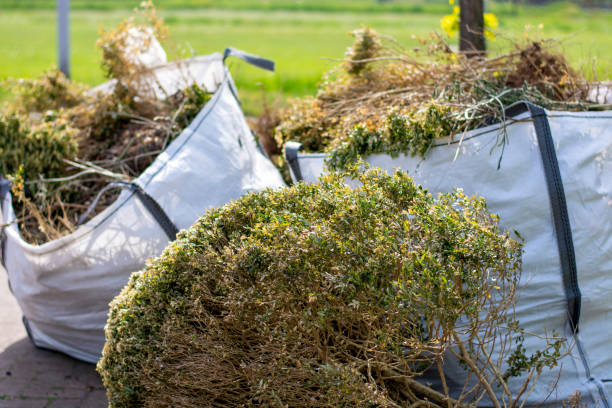 Best Commercial Junk Removal  in Burgin, KY